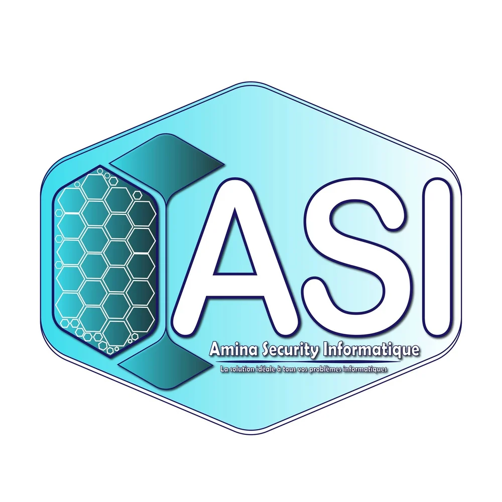 Logo Amina Security Informatique